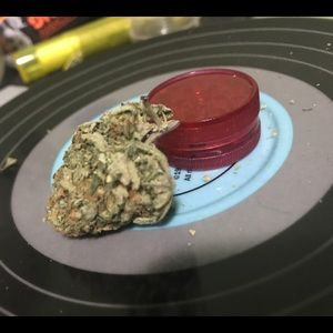 Meet your Posher, Dave